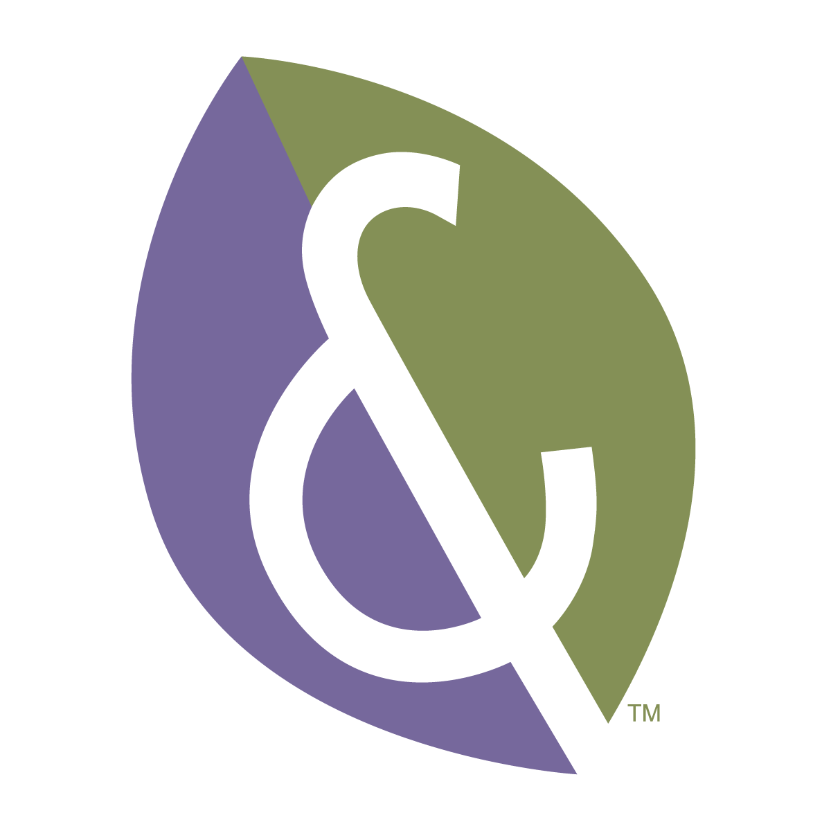 Organic Cinnamon Ceylon