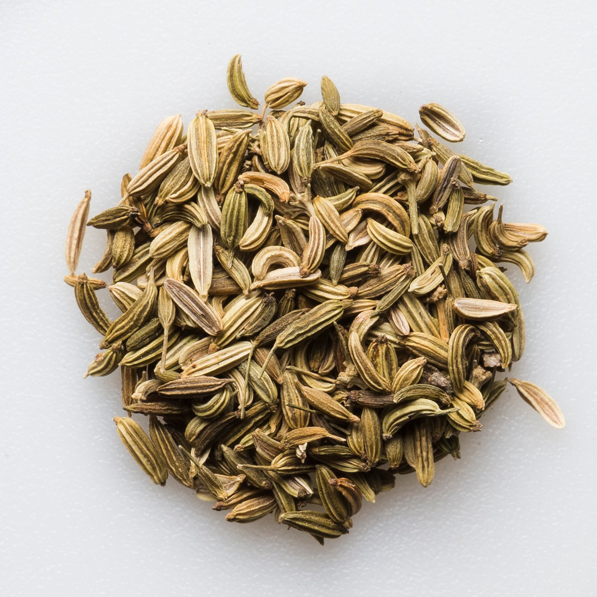Organic Fennel Seed
